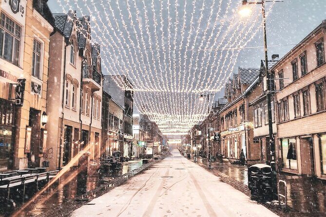 Discover the most Photogenic Spots of Tromsø with a Local - Who Is This Tour Perfect For?