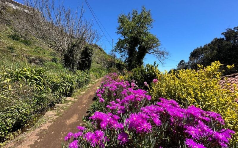 Discover the Paradise Valley - a quick escape for Everyone - FAQs