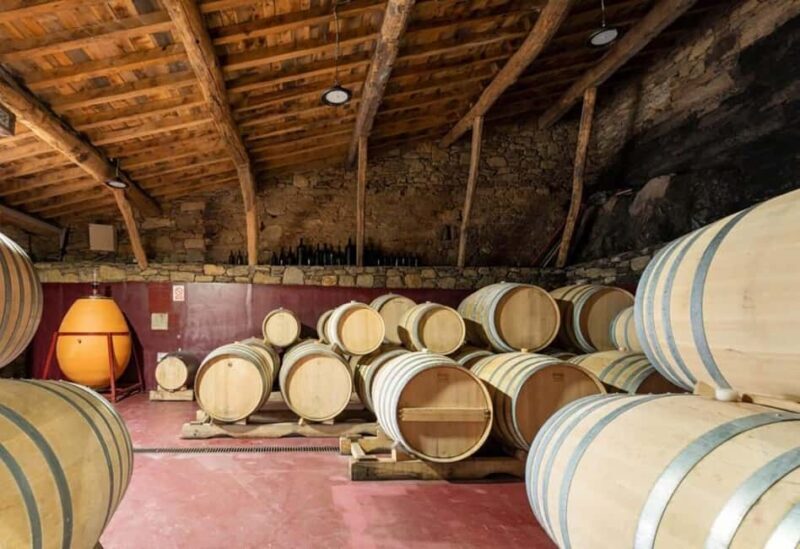 Discover the Ribeira Sacra with a unique wine experience! - The Value of This Experience for Different Travelers