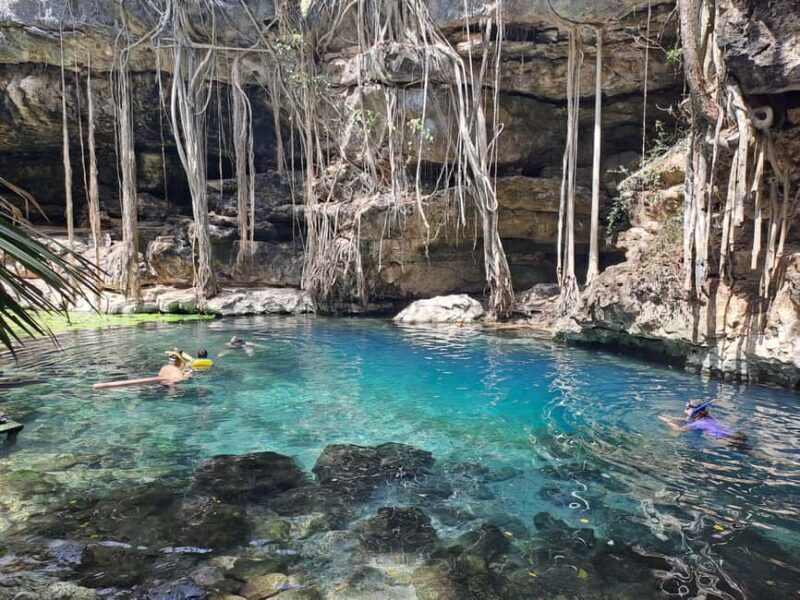 Discover the Serenity: A Tour of the Hidden Cenotes (PVT) - Pricing and Value