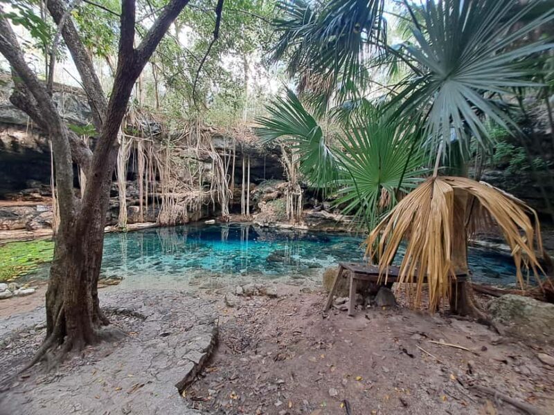 Discover the Serenity: A Tour of the Hidden Cenotes (PVT) - FAQ