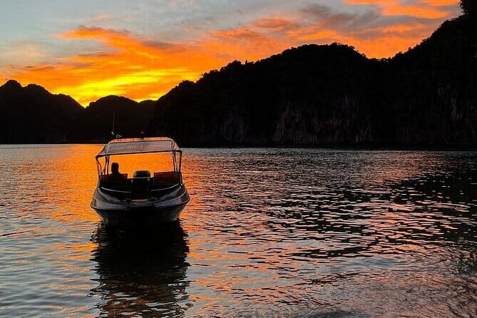 Discover the Sunset and Bioluminescent Plankton Night Kayak - Key Points