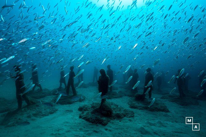 Discover the underwater world of Lanzarote - The Sum Up