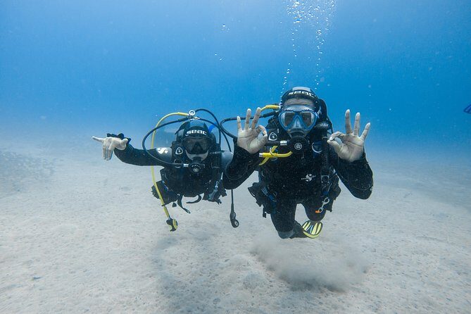 Discover the underwater world of Lanzarote - FAQs