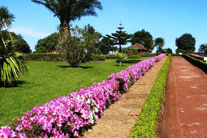 Discover the unexplored beauty of the island by jeep the Nordeste - A Complete Look at the Nordeste Jeep Tour