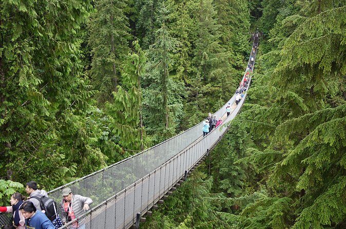 Discover the Wild Beauty of North Vancouver - Practical Tips for Making the Most of Your Tour
