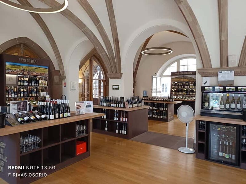 Discover the Wines of Alsace and a brief introduction to Strasbourg. - A Detailed Look at What Makes This Tour Worth Considering