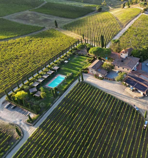 Discover the wines of Chianti Classico with a visit and tasting at Viticcio. - Atmosphere and Setting