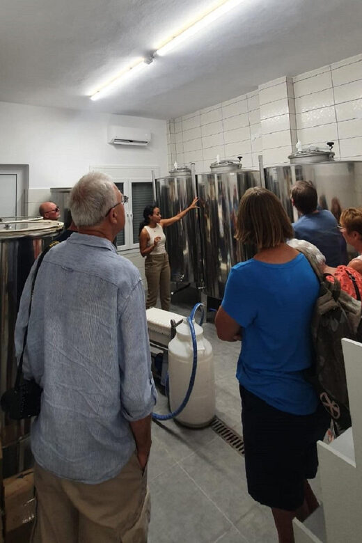 Discover the world of Extra Virgin Olive Oil - An In-Depth Look at the Olive Oil Tour in Epirus