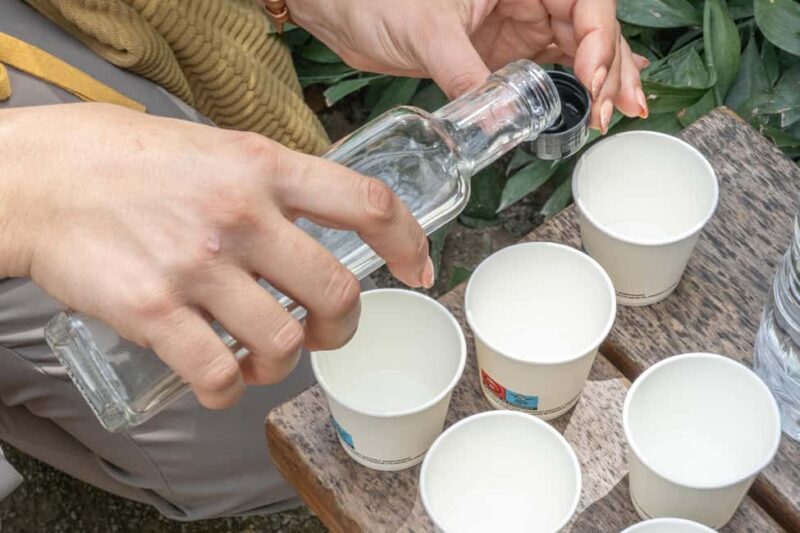 Discover the World of Herbs in the National Garden of Athens - The Sum Up