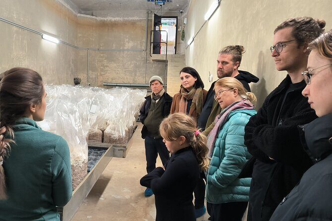 Discover the World of Mushrooms - Exploring Zurich’s Hidden Mushroom World