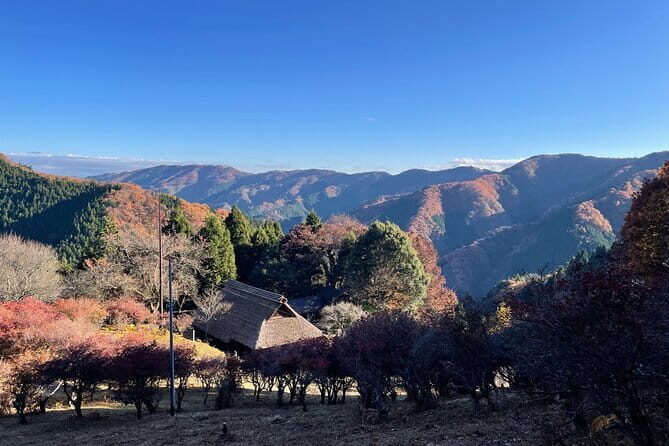 Discover Tokyo's Mountain Roots: History, Culture & Nature - Key Points