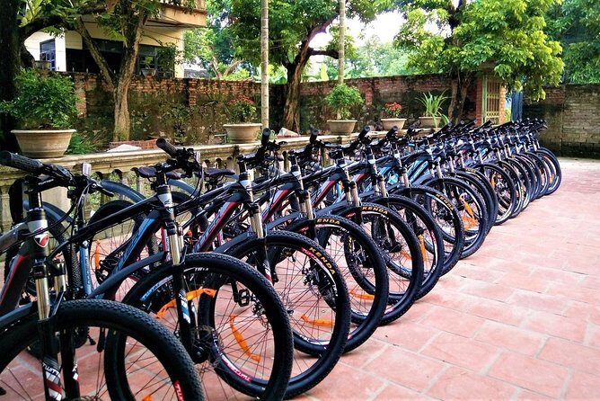 Discover Trang An Natural World Heritage, Bich Dong Pagoda, Cycling Day Tour - Visiting Bich Dong Pagoda