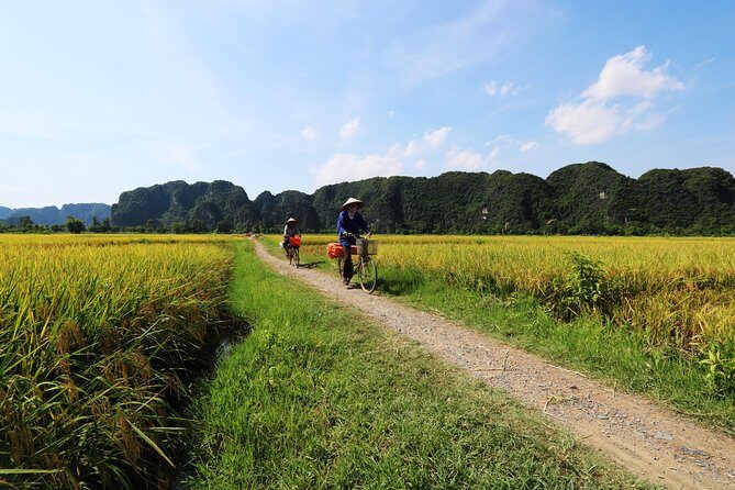 Discover Trang An Natural World Heritage, Bich Dong Pagoda, Cycling Day Tour - Exploring the Heart of Ninh Binh
