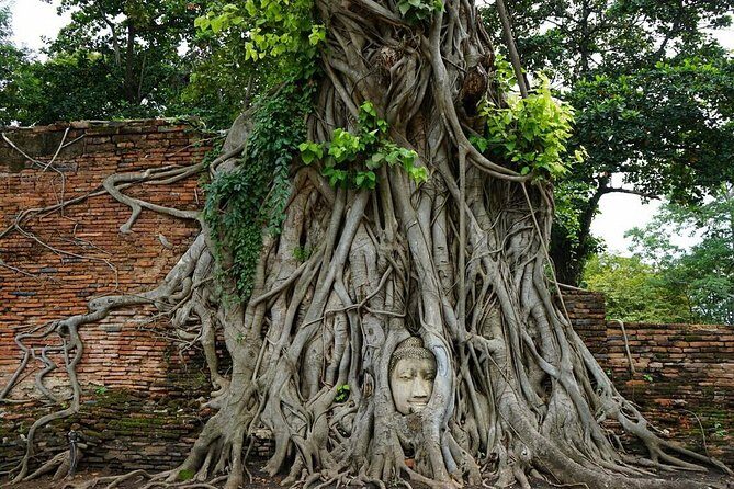 Discover UNESCO World Heritage Sites - Ayutthaya to Khao Yai National Park - Exploring the Itinerary: What Makes This Tour Special