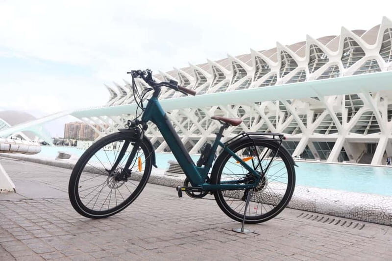Discover Valencia by bike  Dutch-speaking tour - Who Will Love This Tour?