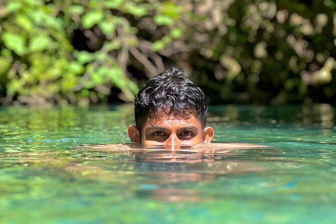 Discover Valencia's Magical Nature - An Adventure into Valencia’s Natural Wonders