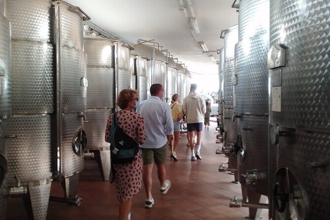Discover Valle d 'Itria and its wines by ebike - The Sum Up