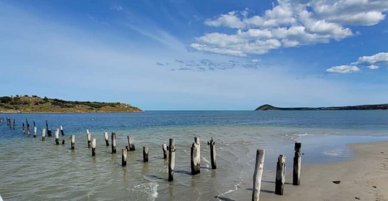 Discover Victor Harbor Guided Walking Tour - Discover Victor Harbor Guided Walking Tour