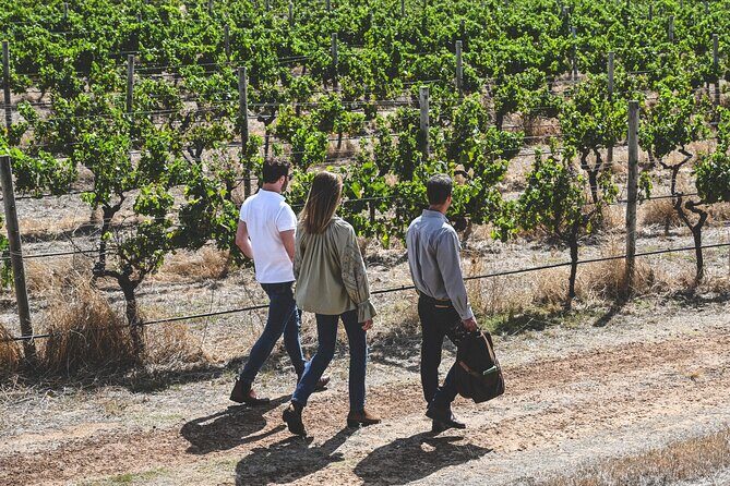 Discover Voyager Tour and Wine Tasting - A Closer Look at the Tour