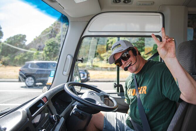 Discover Wellington 3 hour City Tour - A Closer Look at the Wellington City Tour