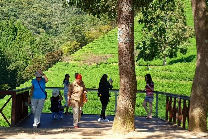 Discover Western Korea in 4days: All-Inclusive Experience - The Value and Considerations