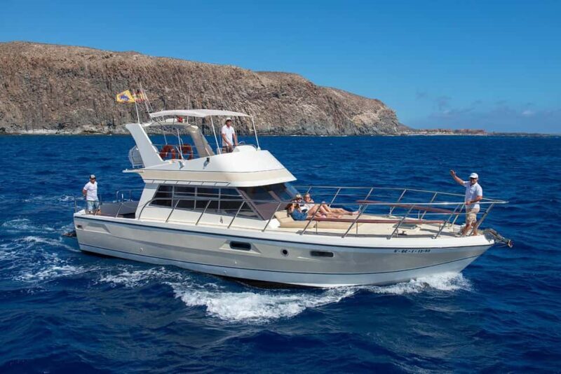 Discover whales in Tenerife: exclusive yacht tour with swimming and lunch. - Key Points