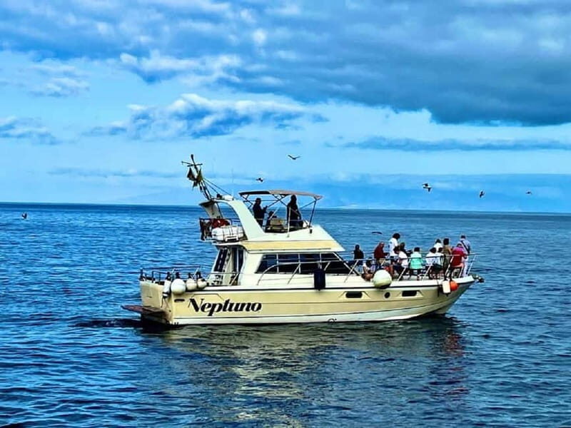 Discover whales in Tenerife: exclusive yacht tour with swimming and lunch. - What Sets This Tour Apart?
