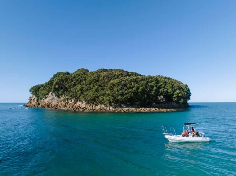 Discover Whangamata - Boat Tour - Discover Whangamata - Boat Tour: A Practical Look at a Coastal Adventure