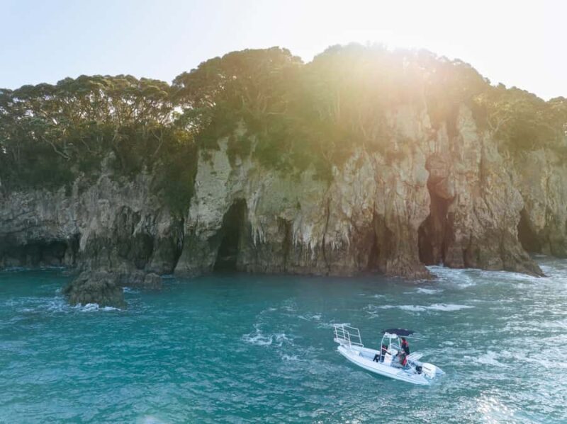 Discover Whangamata - Boat Tour - A Close Look at the Experience