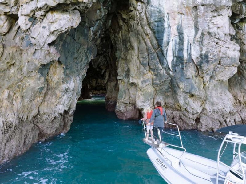 Discover Whangamata - Boat Tour - Who Would Enjoy This Tour?