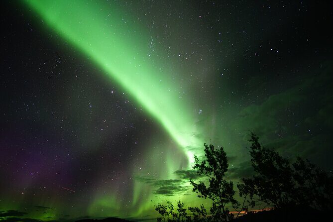 Discover Whitehorse with Northern Lights and Yukon Wildlife Tour - Who Should Consider This Tour?