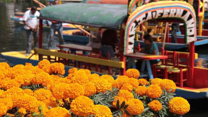 Discover Xochimilco and Coyoacán: Tradition, Music, Culture - Final Impressions