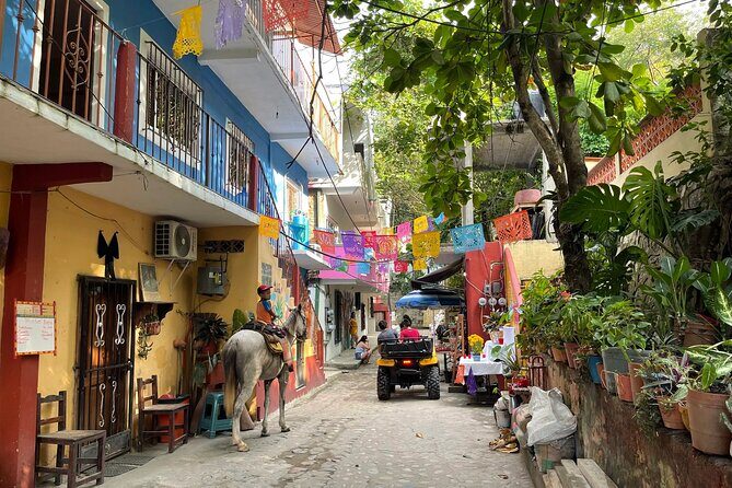 Discover Yelapa Fishing Village - What to Expect on the Discover Yelapa Fishing Village Tour