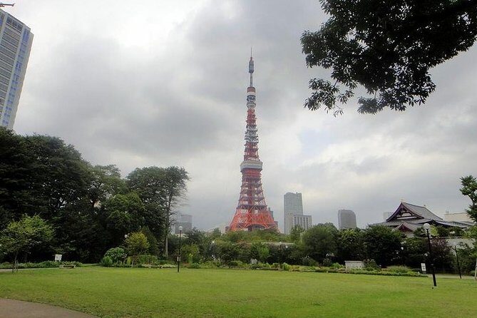 Discover your Tokyo -Private Tokyo Customized Walking Tour- - Final Thoughts