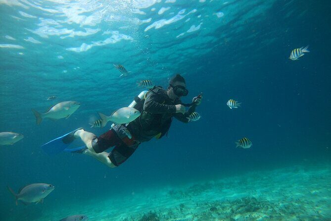 Discovering Diving in Chankanaab Park - Key Points