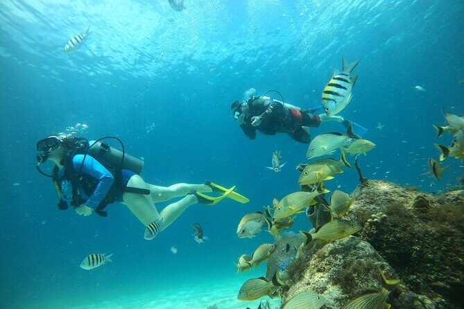 Discovering Diving in Chankanaab Park - Why Choose This Tour?