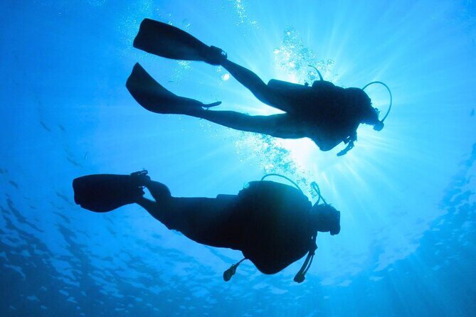 Discovering Diving in Chankanaab Park - FAQ