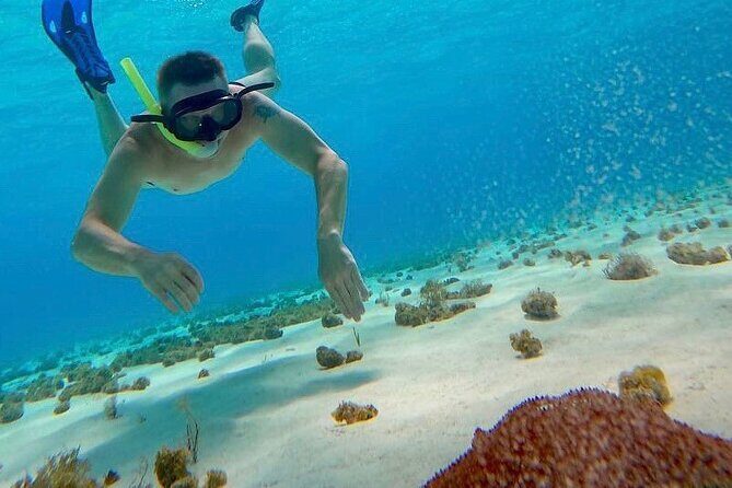 Discovering El Cielo Reef by Double Decker Catamaran - The Experience: What Travelers Say