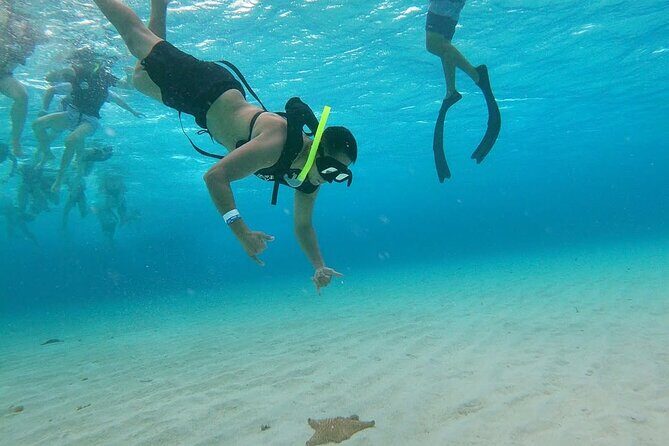 Discovering El Cielo Reef by Double Decker Catamaran - Practical Tips for Booking and Enjoying