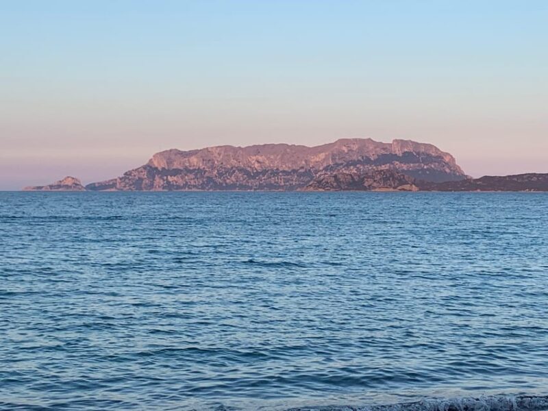 Discovering Mortorio Island with Capelli 6 met. All incl. - A Deep Dive into the Experience