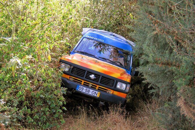 Discovering Northwest Madiera Shore Excursion w/ Harbour pickup - Who Will Love This Tour?