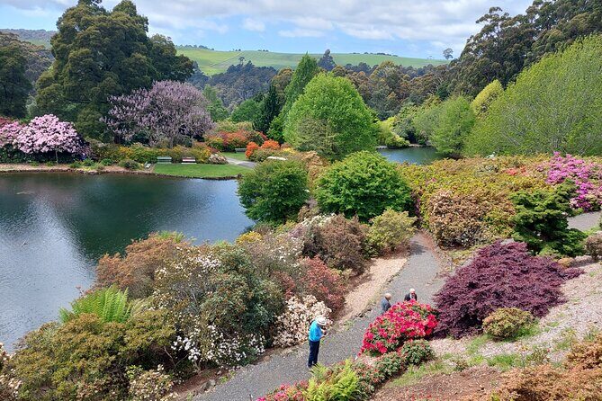 Discovering Tasmania: Burnie Shore Excursion - An In-Depth Look at the Tour Experience
