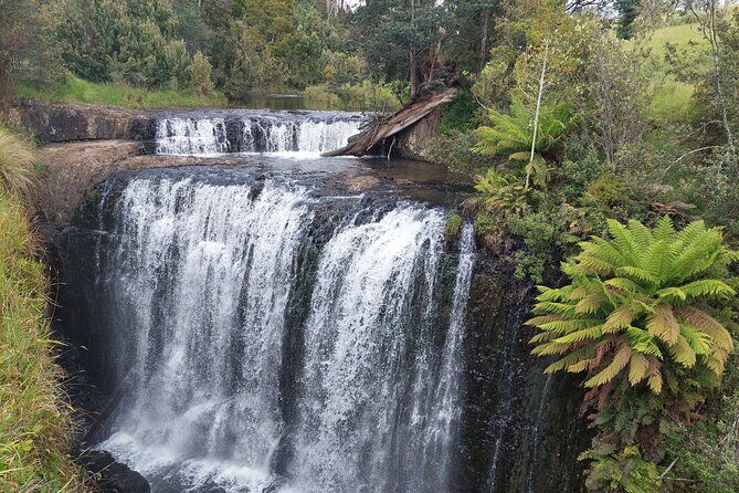 Discovering Tasmania: Burnie Shore Excursion - Frequently Asked Questions