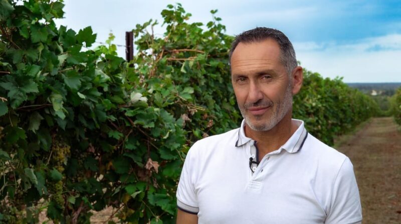 Discovering the mystery grape varieties - Key Points