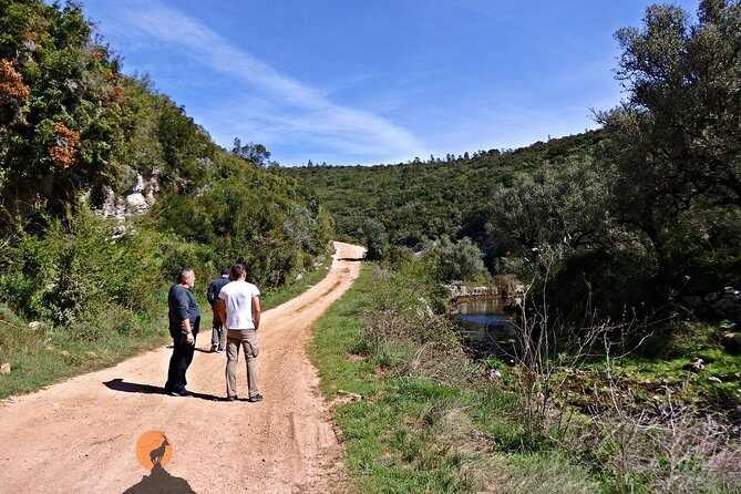 Discovering the Roman Ruins of Conímbriga and the Caves of Sicó - Final Thoughts: Is This Tour Worth It?
