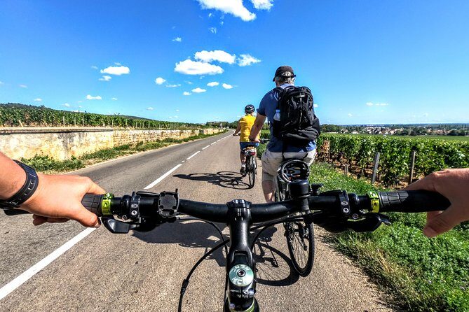 Discovery by bike & Tasting in the vineyards - An Authentic Burgundy Experience: Bike, Taste, and Discover