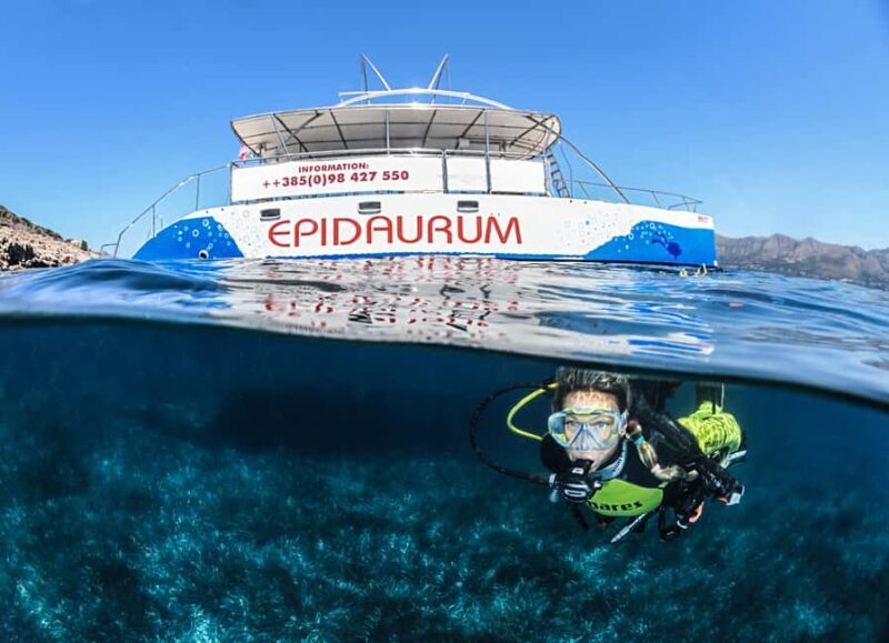 Discovery Dive - 2 hour Uncertified Diver Introductory Dive - Key Points