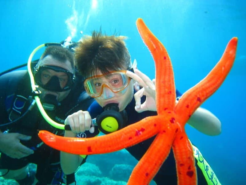 Discovery Dive - 2 hour Uncertified Diver Introductory Dive - Why This Tour Stands Out
