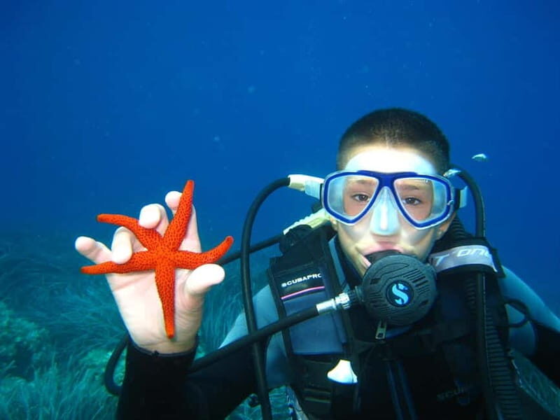Discovery Dive - 2 hour Uncertified Diver Introductory Dive - Who Would Love This Experience?